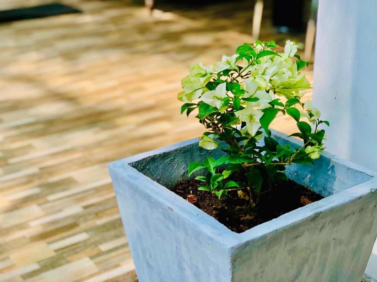 Siri'S Residency Lägenhet Habaraduwa Central Exteriör bild